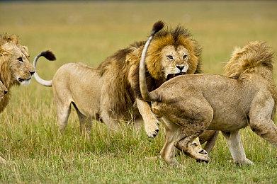 《超时空战记Gun & Slash》12月23日登陆PC平台